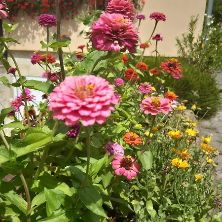 Апартаменты Annamaria