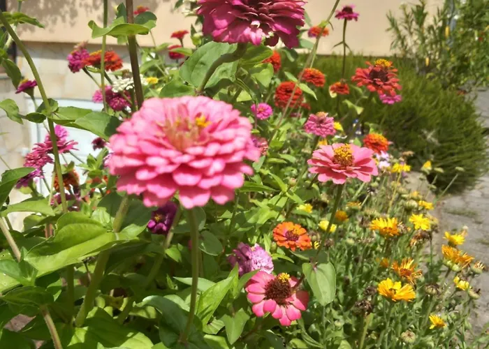 Apartament Annamaria