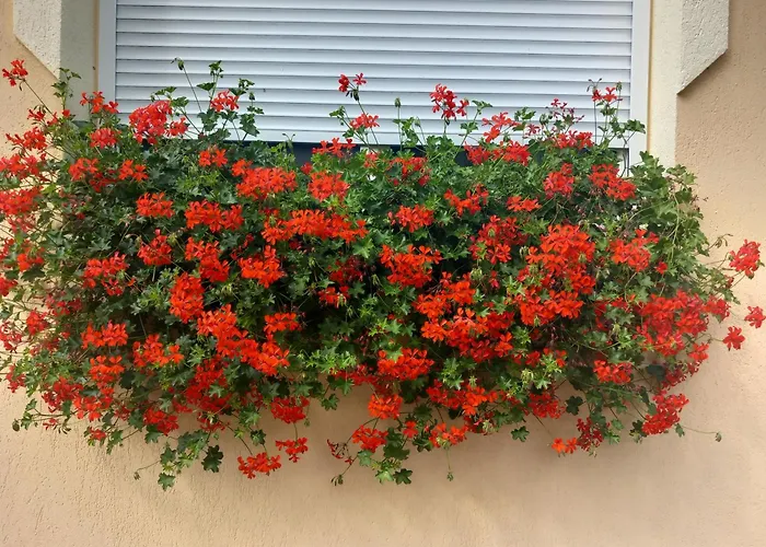 Annamaria Appartement